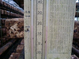 しいたけ栽培ハウス内の温度計