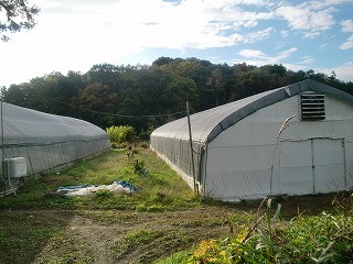 しいたけ栽培ハウス2棟