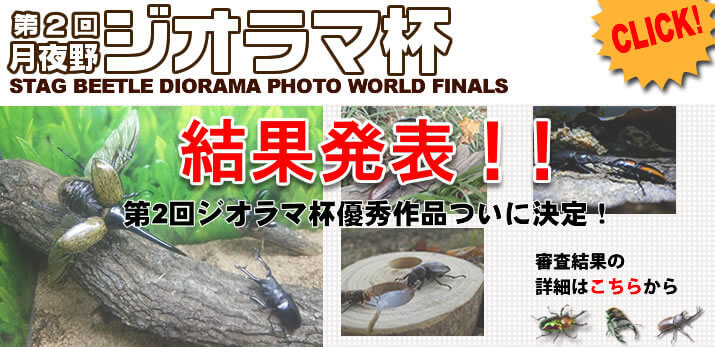 2016年月夜野ジオラマ杯優秀作品表彰ページ