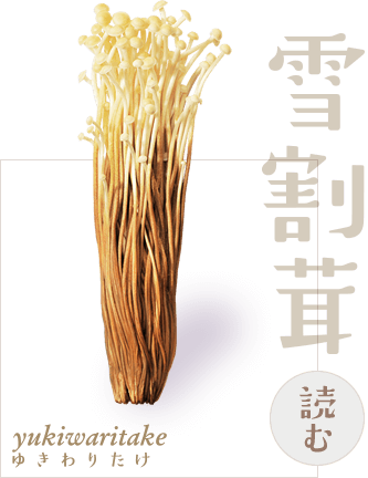 きのこ紹介 | 月夜野きのこ園