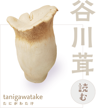 きのこ紹介 | 月夜野きのこ園