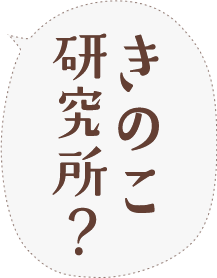 きのこ研究所？