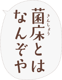 菌床とはなんぞや