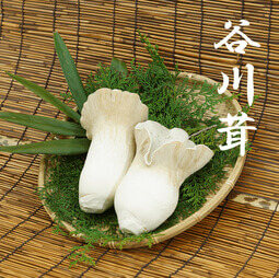 ネットショップ | 月夜野きのこ園