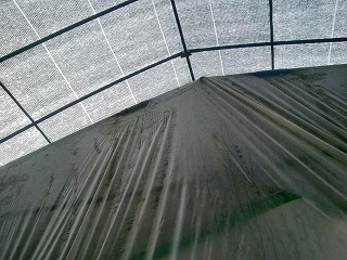 しいたけ栽培ハウス天井２重構造