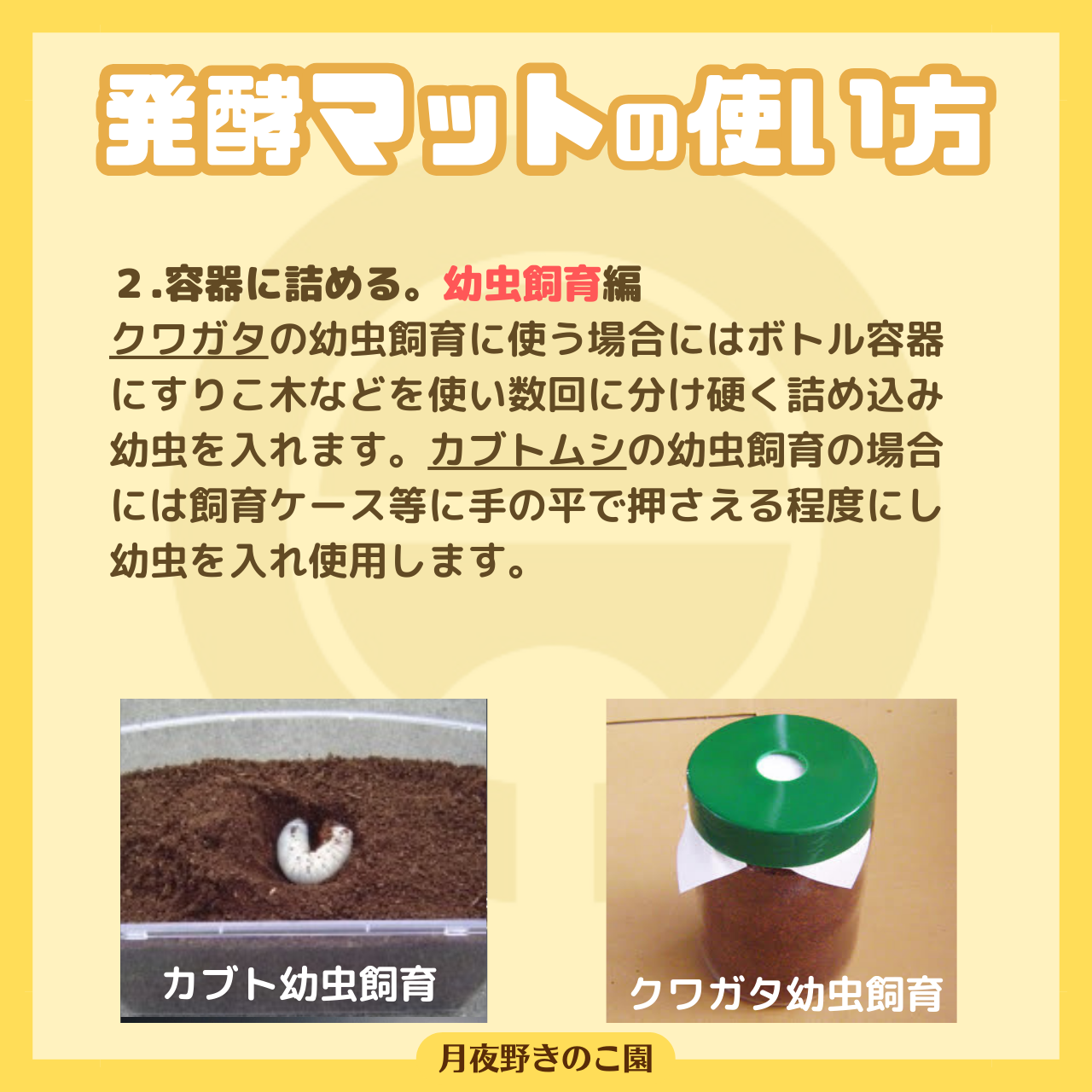 カブトマット 10L 1個 完熟発酵 菌床マット プレミアム 国産・外国産カブトムシに最適！！ 幼虫・産卵におすすめ！ | ビートルショップ  リアルくまモン