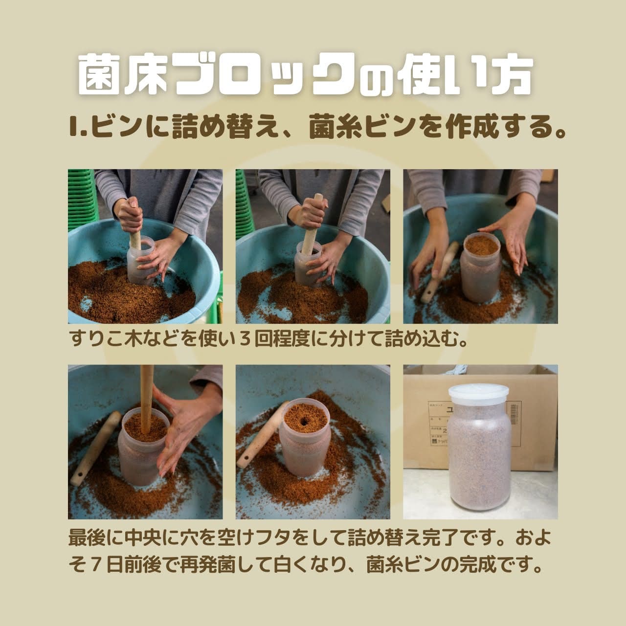 月夜野きのこ園クワガタ菌床販売部 / Basicクヌギ【9】(菌糸