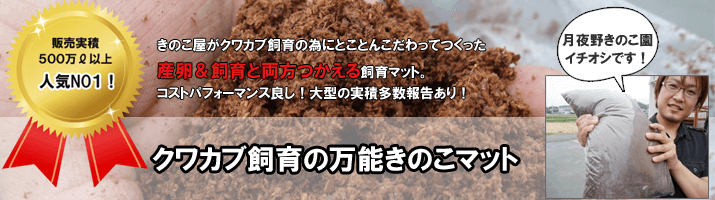 クワカブ飼育の万能きのこマット