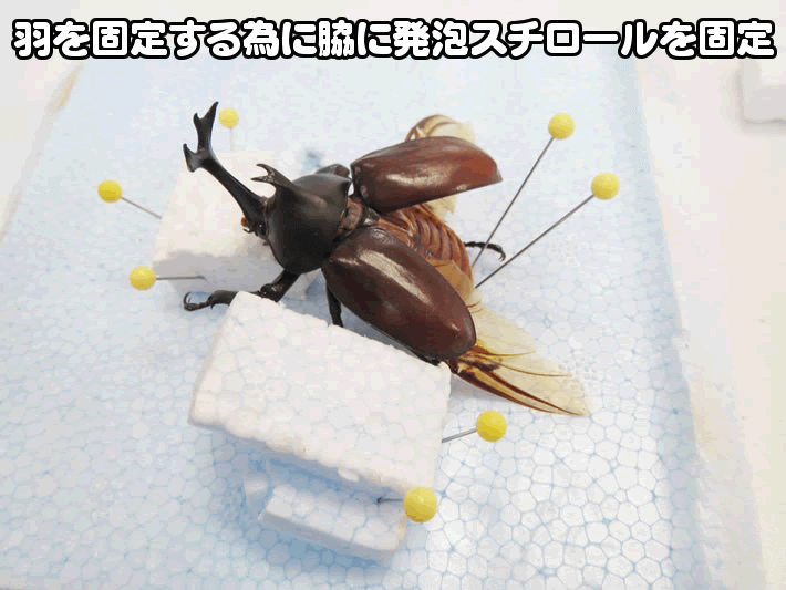 ジオラマ