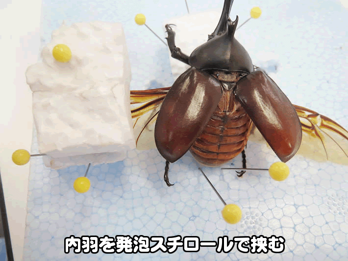 ジオラマ