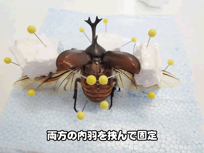 ジオラマ