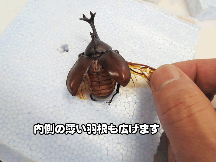 ジオラマ