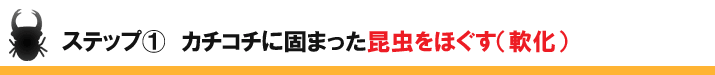 ステップ1カチコチに固まった昆虫をほぐす(軟化)