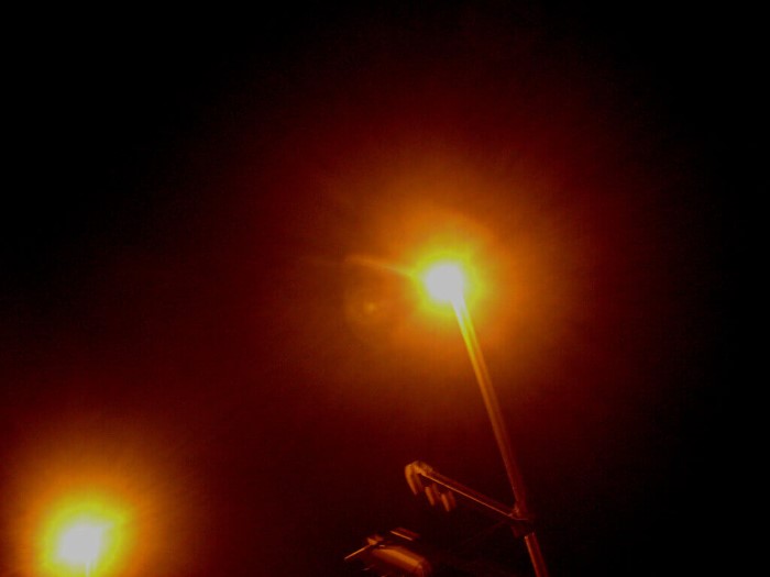 クワガタ カブトムシの採集方法 灯火採集 外灯巡り採集方法 クワガタ カブトムシ飼育情報 月夜野きのこ園
