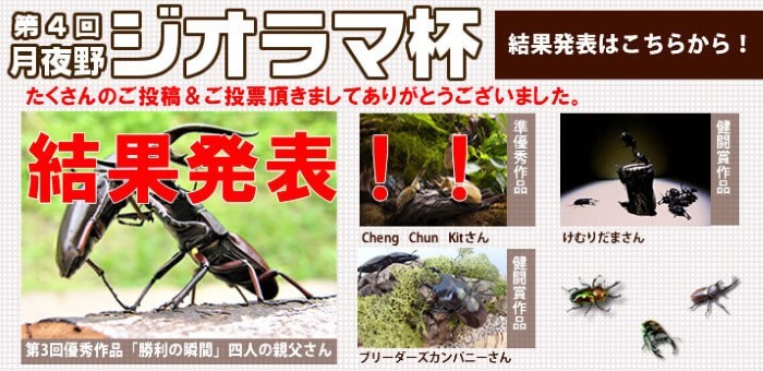 ジオラマ杯優秀作品表彰ページ