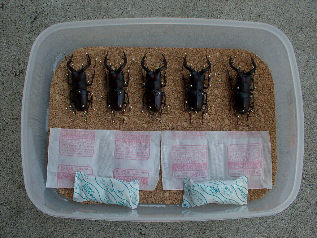 32a54efb4c961b5ddcaff77fd80376