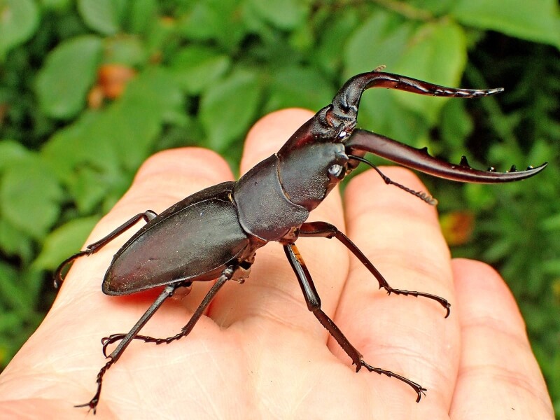 09db81c4e8e52d11e7fa5704ed8bad