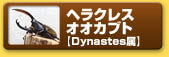 ヘラクレスオオカブト　【Dynastes属】