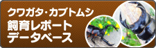 クワガタ・カブトムシ飼育レポート