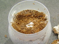 クワガタ幼虫飼育菌糸ビン