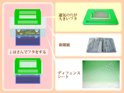 国産オオクワガタ産卵セット通気の穴の大きいケースを使う場合 国産オオクワガタ産卵セット通気の穴の大きいケースを使う場合