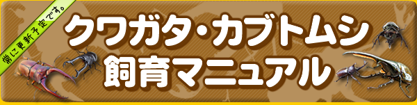 クワガタ・カブトムシ飼育マニュアル