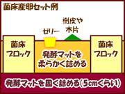 クワガタ菌床産卵図