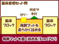 クワガタ菌床産卵セット図