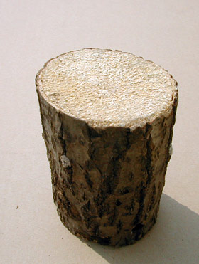 Basic Block
